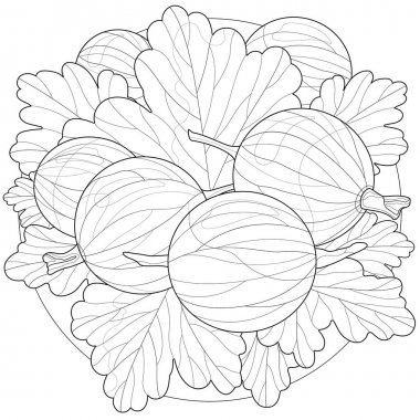Online coloring book: Coloring book gooseberry among leaves on a plate